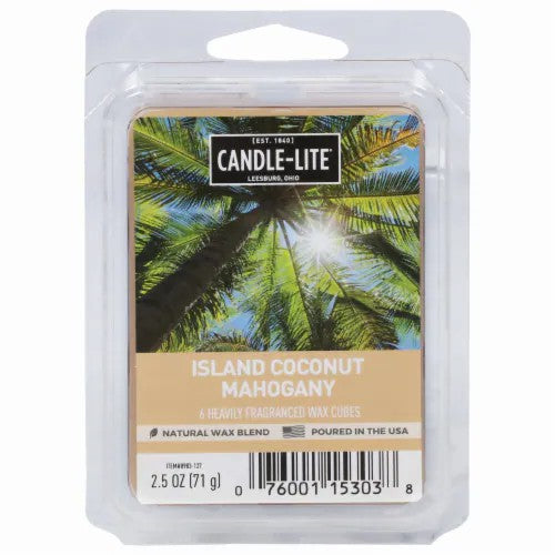 Everyday Wax Melts 2.5oz Apple Cinnamon Crisp