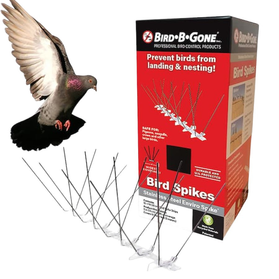 حامل سبايك الطيورلطرد الطيور فولاذ مقاوم للصدأ من بيرد بي جن