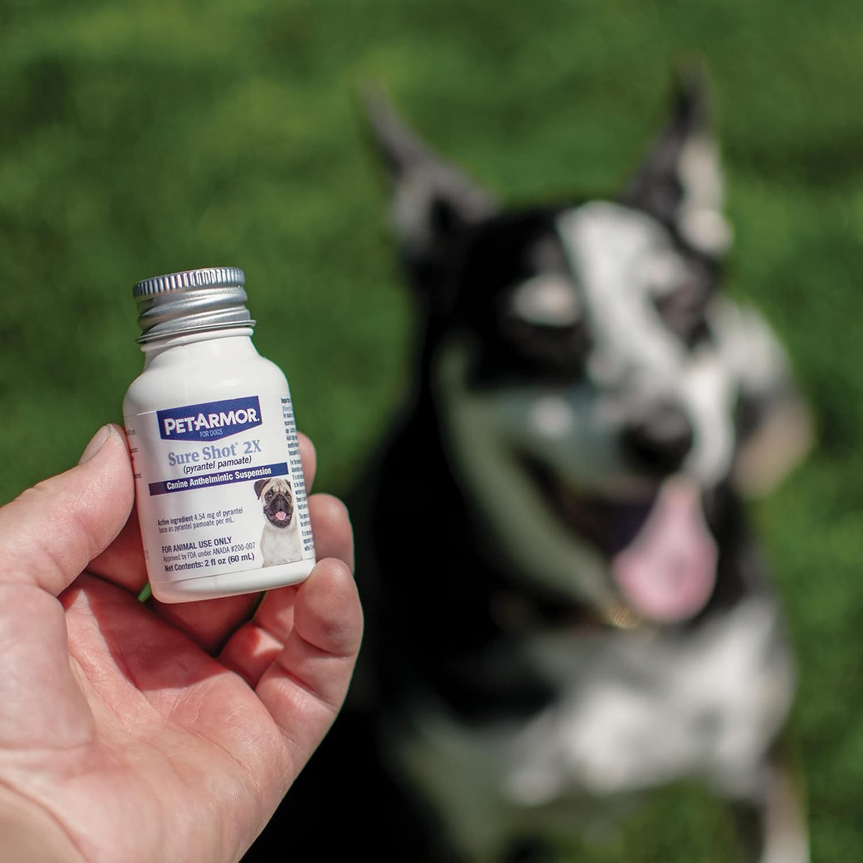 سائل ازالة الديدان بيتارم شور شوت 2X للكلاب من بيت ارمور - 60 مل
