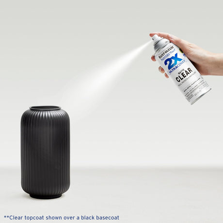 بينترز تاتش 2X طلاء بخاخ غير لامع، 12 أونصة - شفاف-2