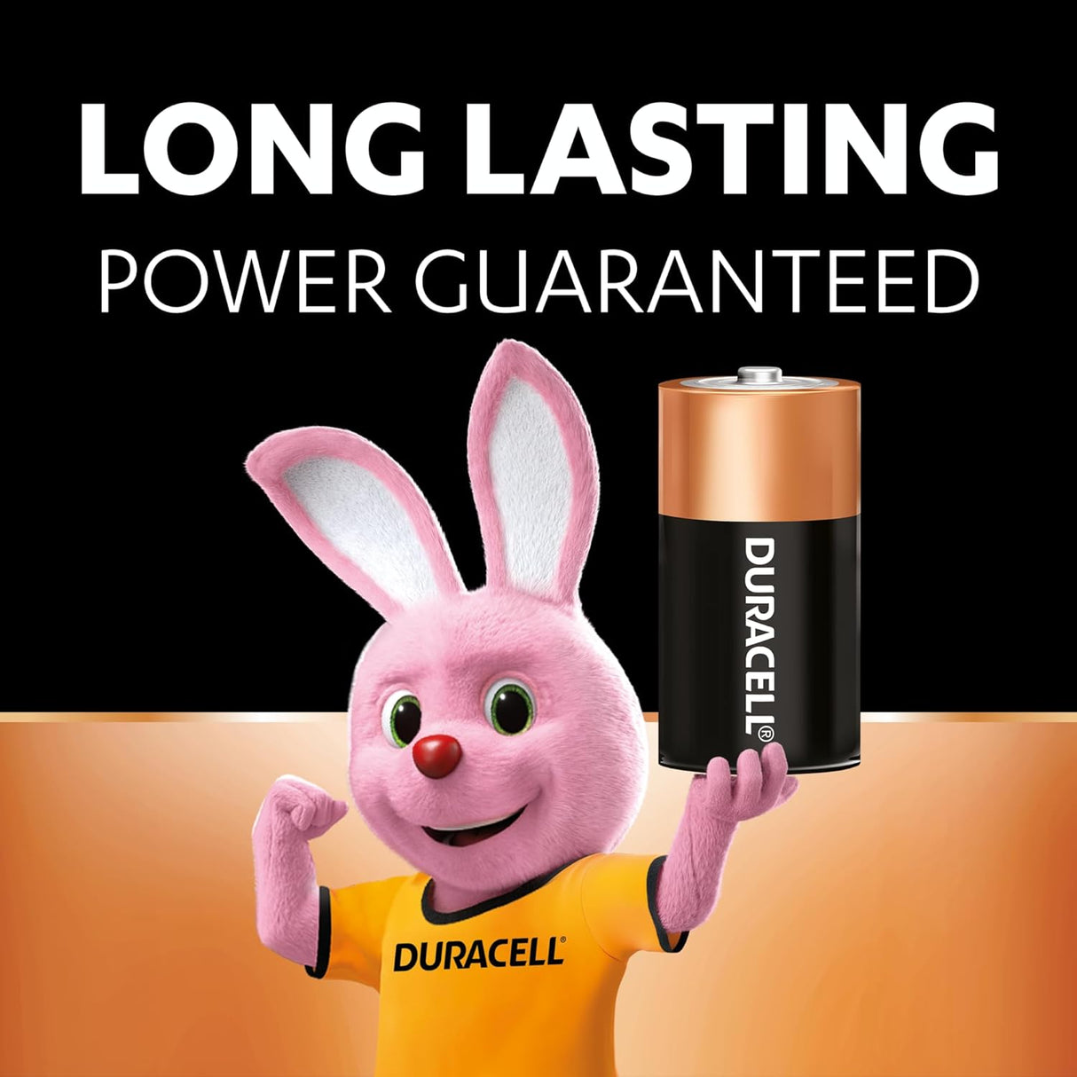 Duracell Batteries C2 Pcs