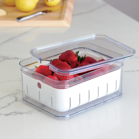 RPET Crisp Berry Bin Clear