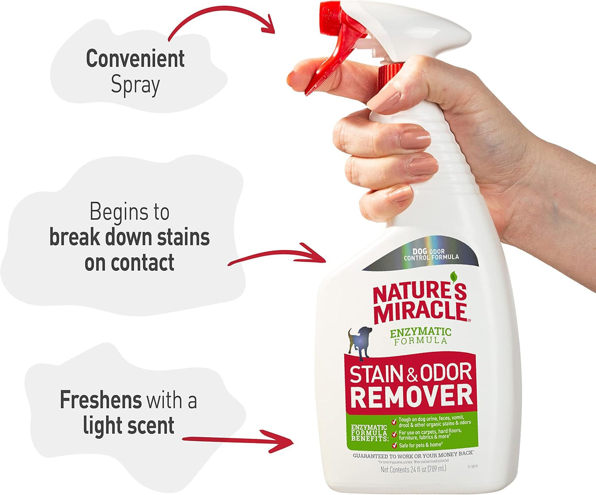 24OZ Stain/Odor Remover
