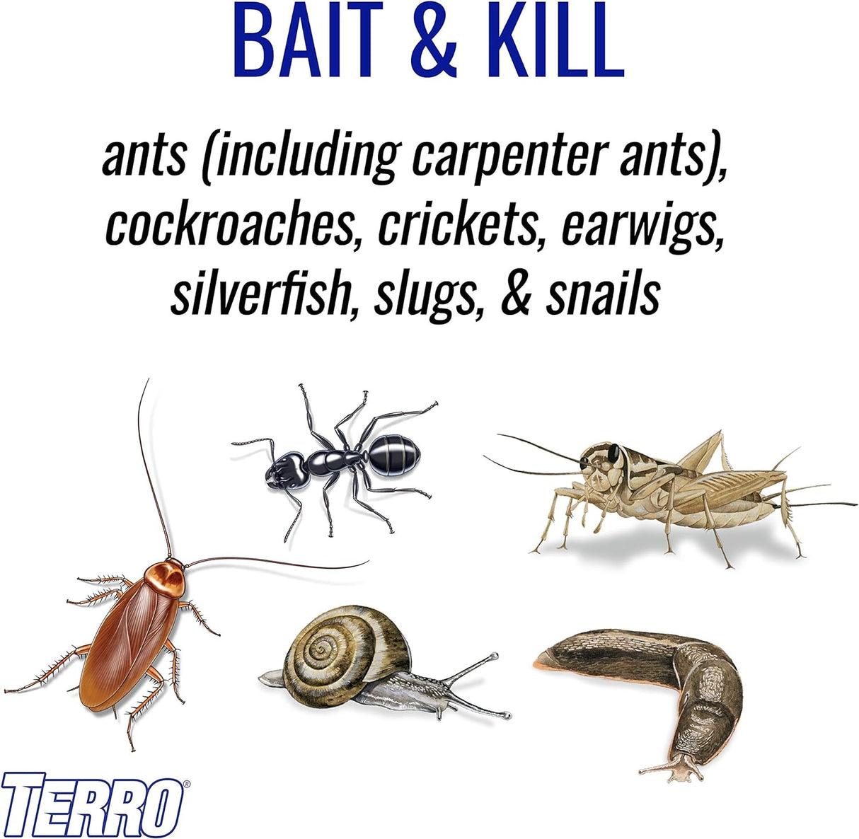 2LB Terro Ant Bait Plus