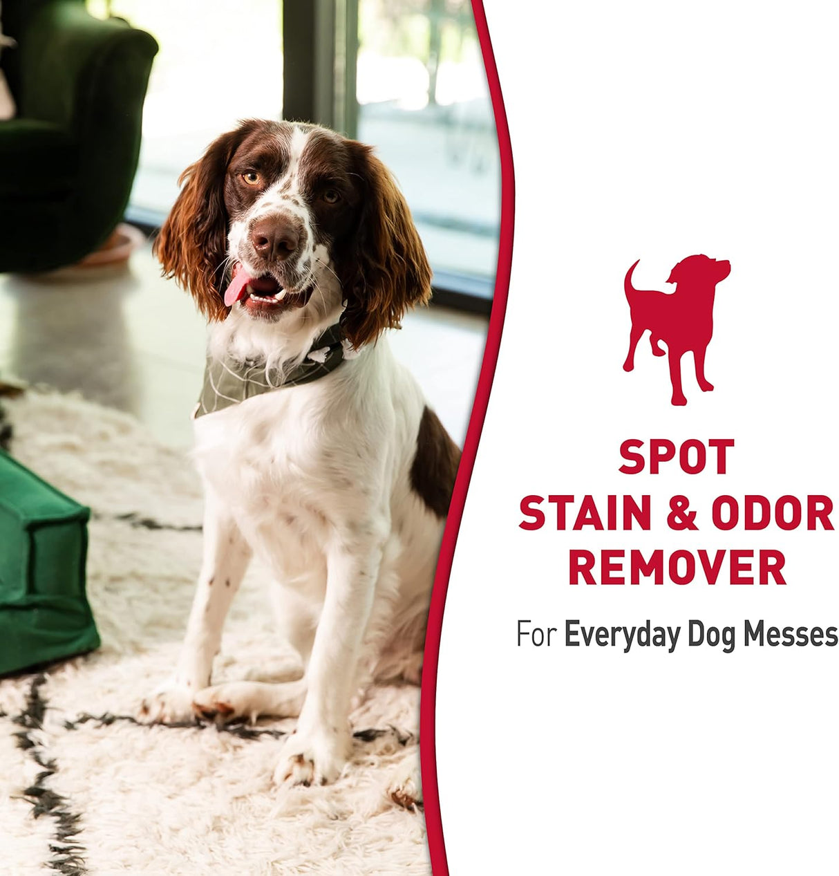 24OZ Stain/Odor Remover