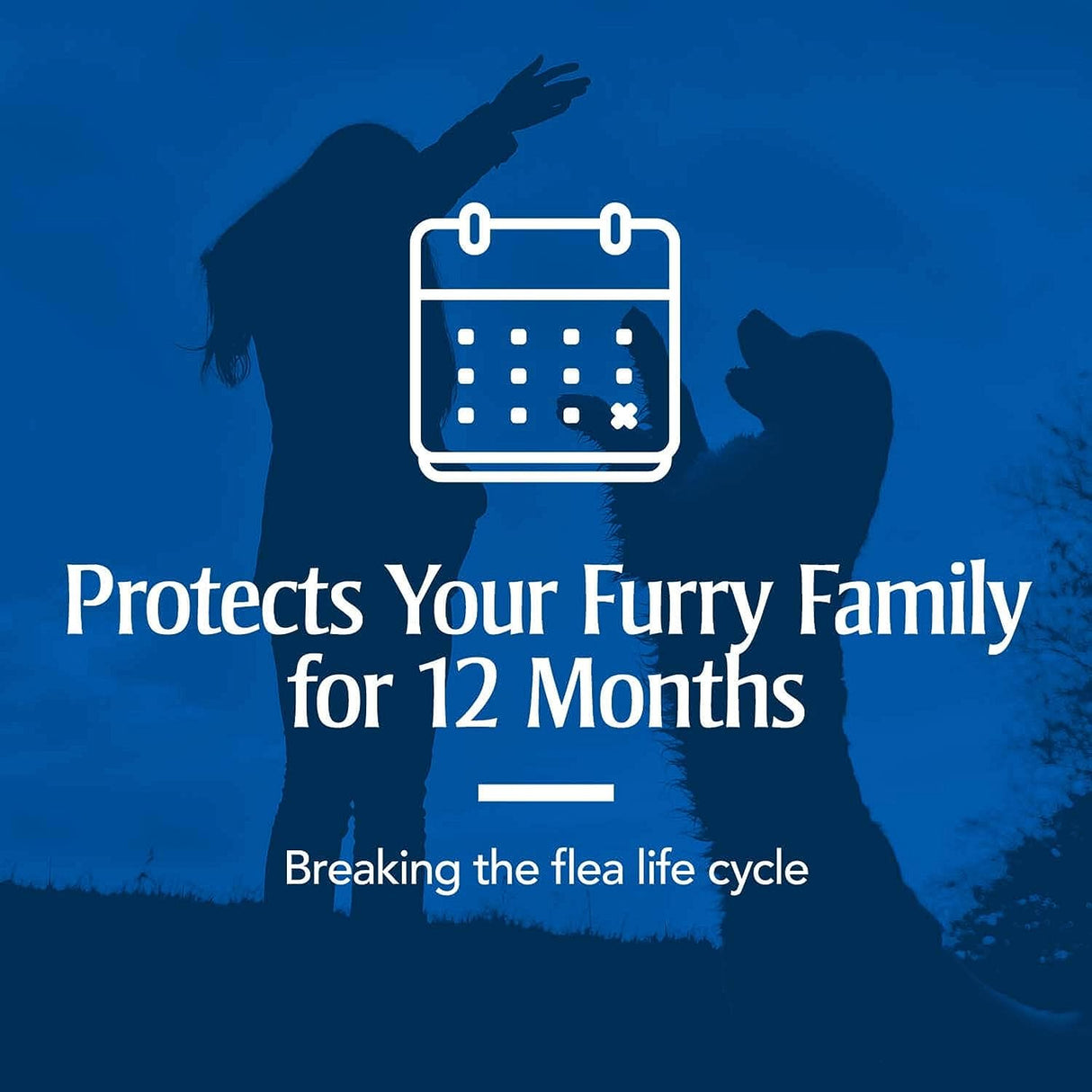 مسحوق سجاد منزلي لقتل البراغيث والقراد من بيت ارمور - 473 مل