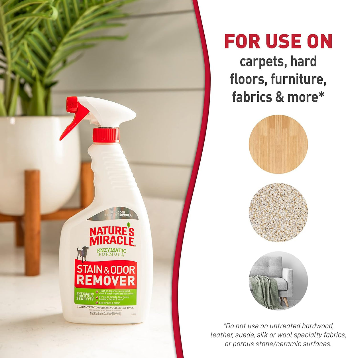 24OZ Stain/Odor Remover