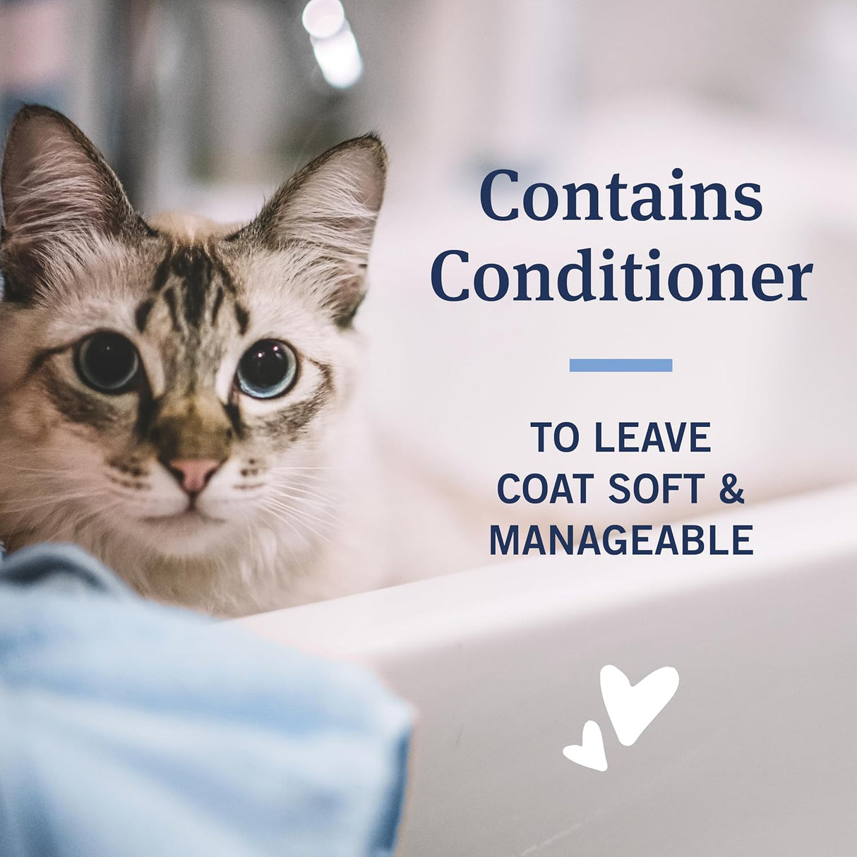 شامبو للحماية من البراغيث والقراد بيتارم للقطط من بيت ارمور - 355 مل