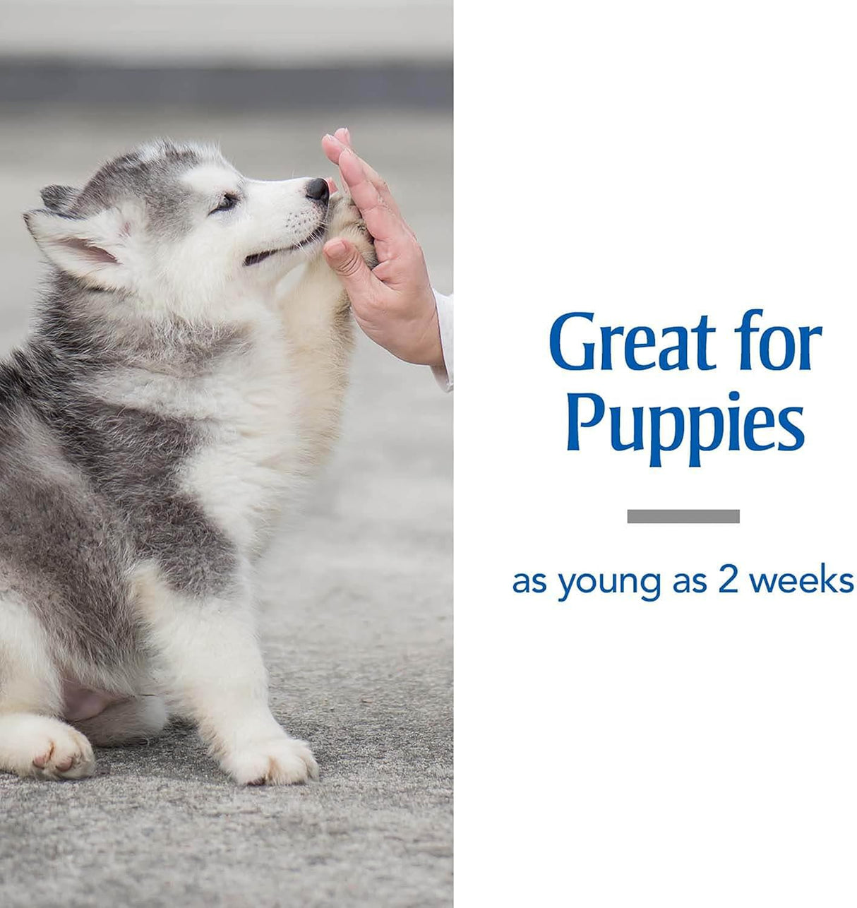 سائل ازالة الديدان بيتارم شور شوت 2X للكلاب من بيت ارمور - 60 مل