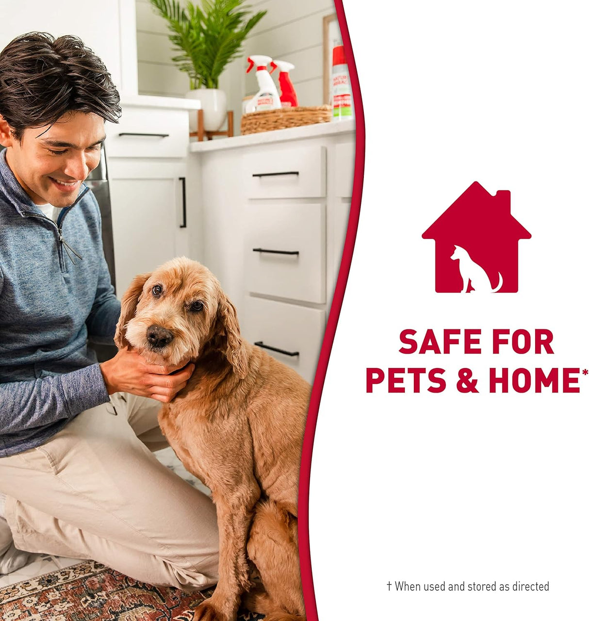 24OZ Stain/Odor Remover