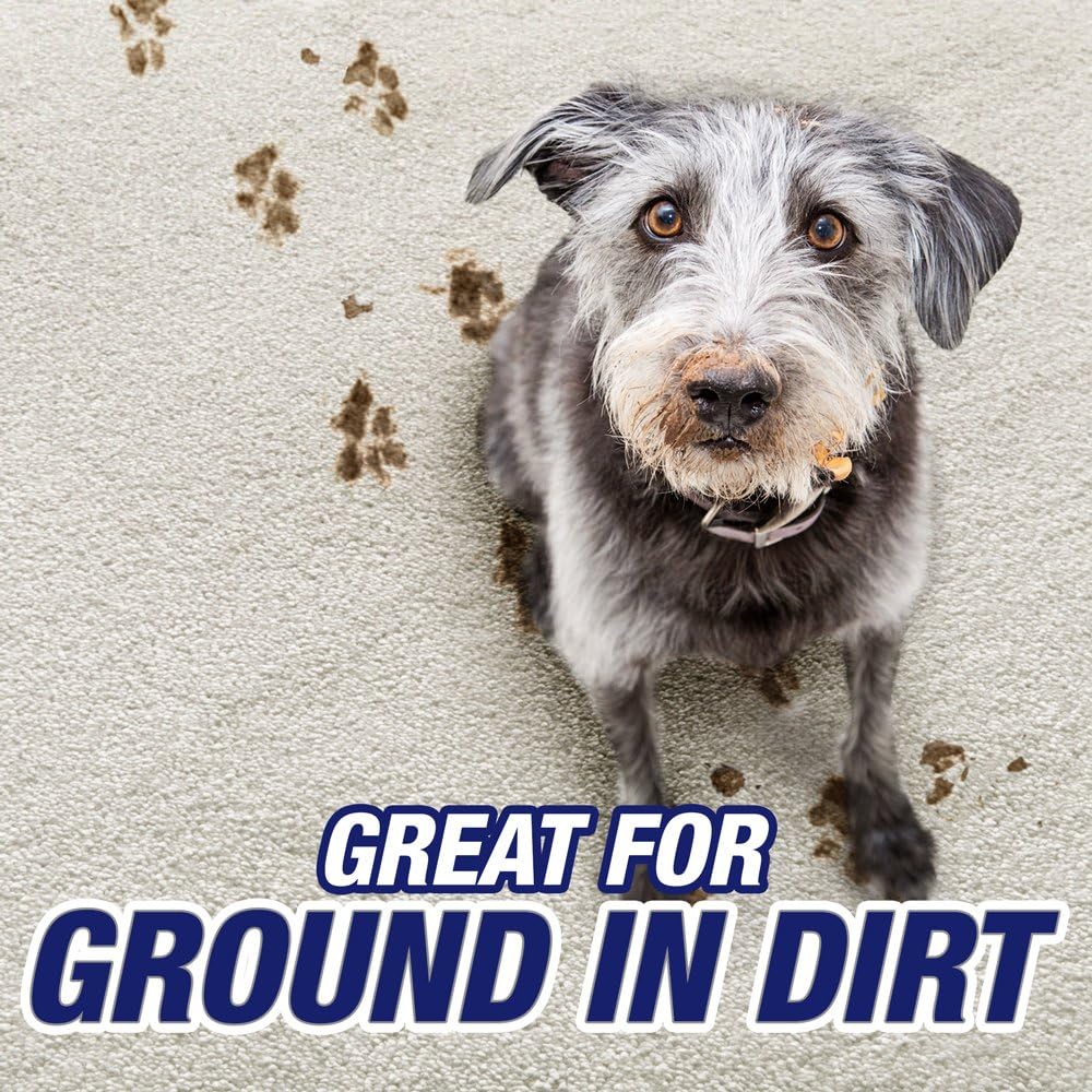 منظف السجاد ريسولف ستيم عديم الرائحة، 48 أونصة