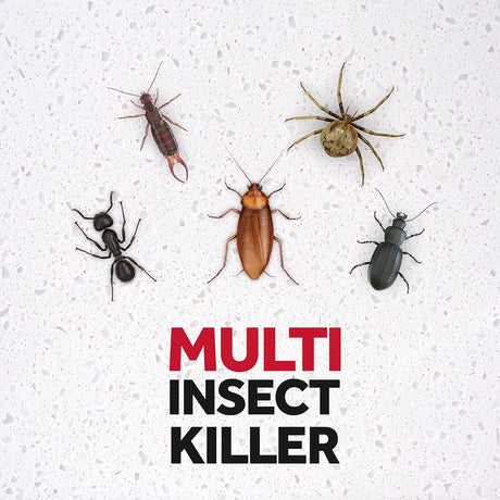 Raid Odorless Insect Killer 300ml