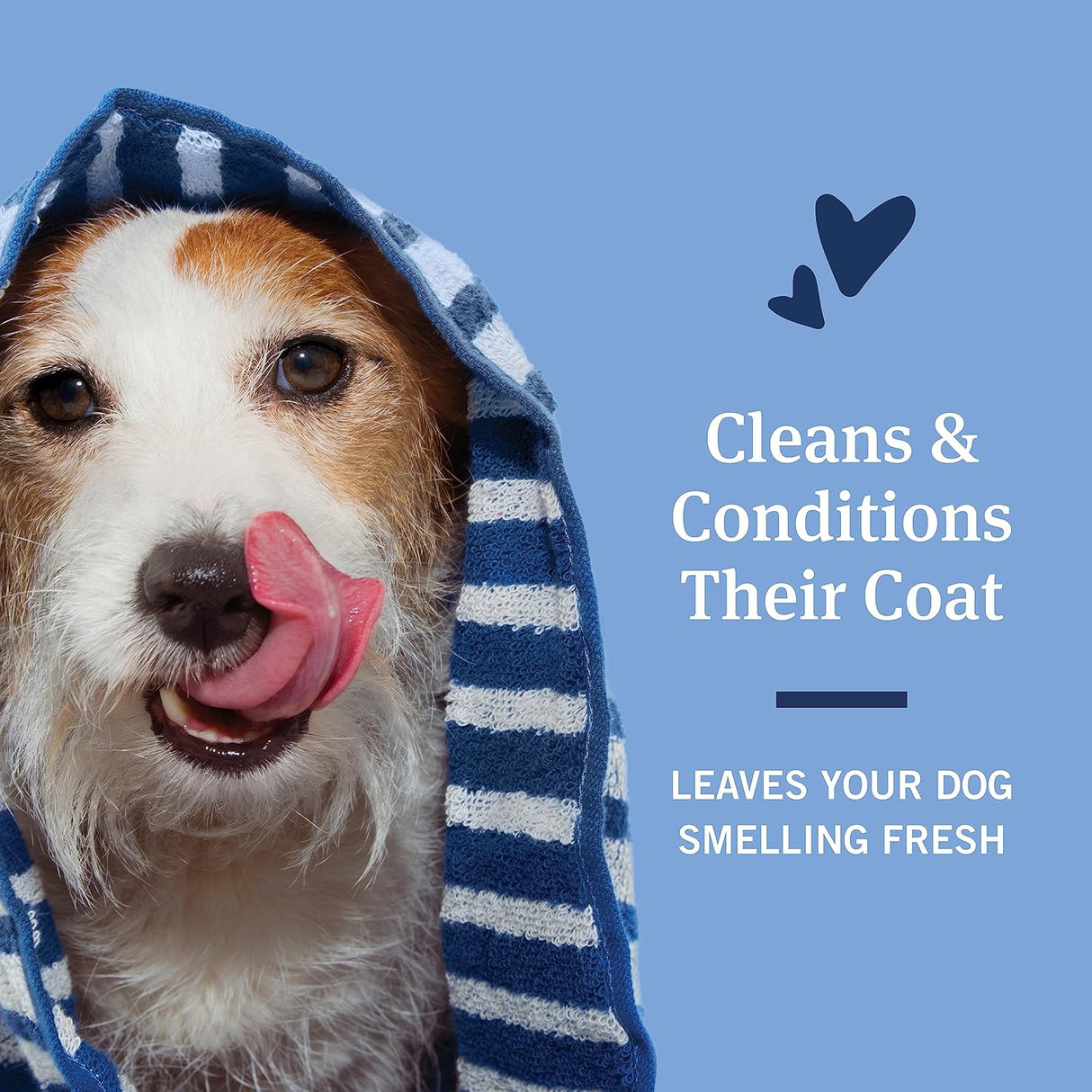 شامبو بالشوفان بيتارم للحماية من البراغيث والقراد للكلاب من بيت ارمور - 532 مل