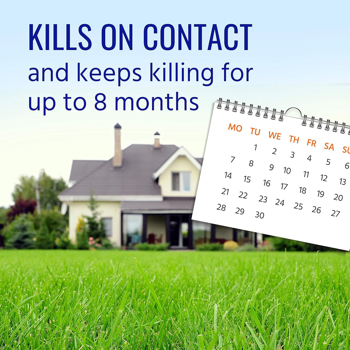 2LB Terro Fire Ant Bait