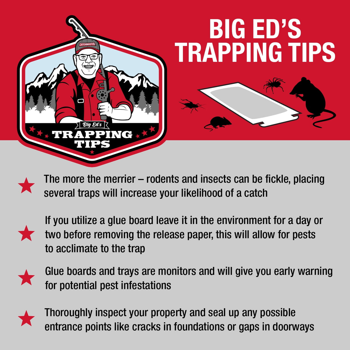 Catch Master Glue Traps for Mice and Insects - 4 Count