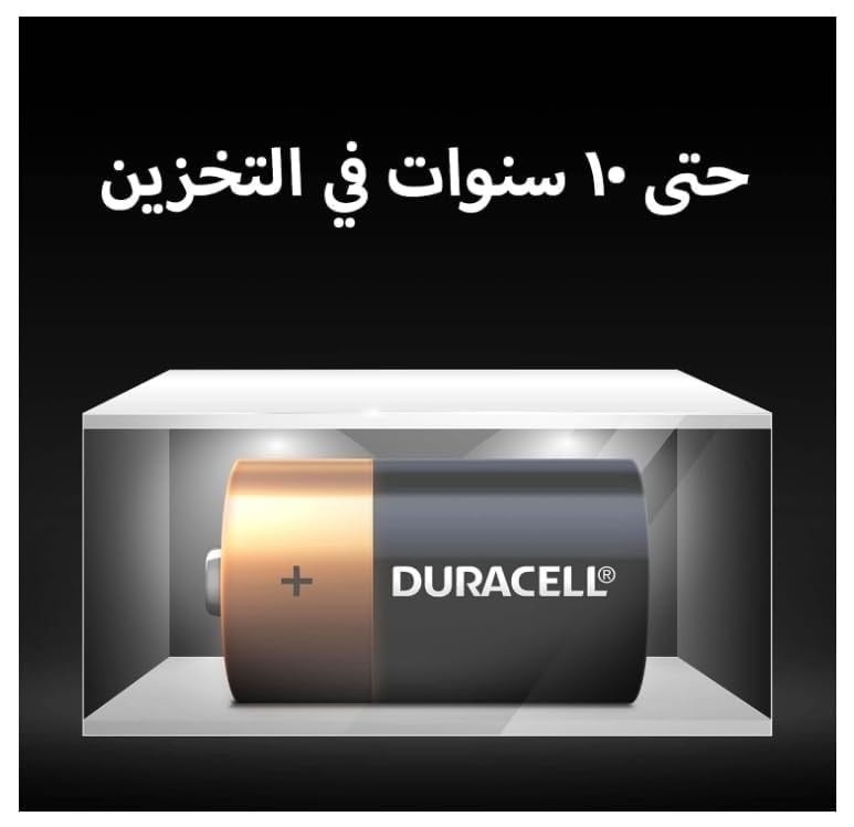 DURACELL D 2PCS MONET