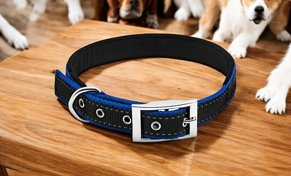 Westminster Pet Expert Dog Collar, Black and Blue