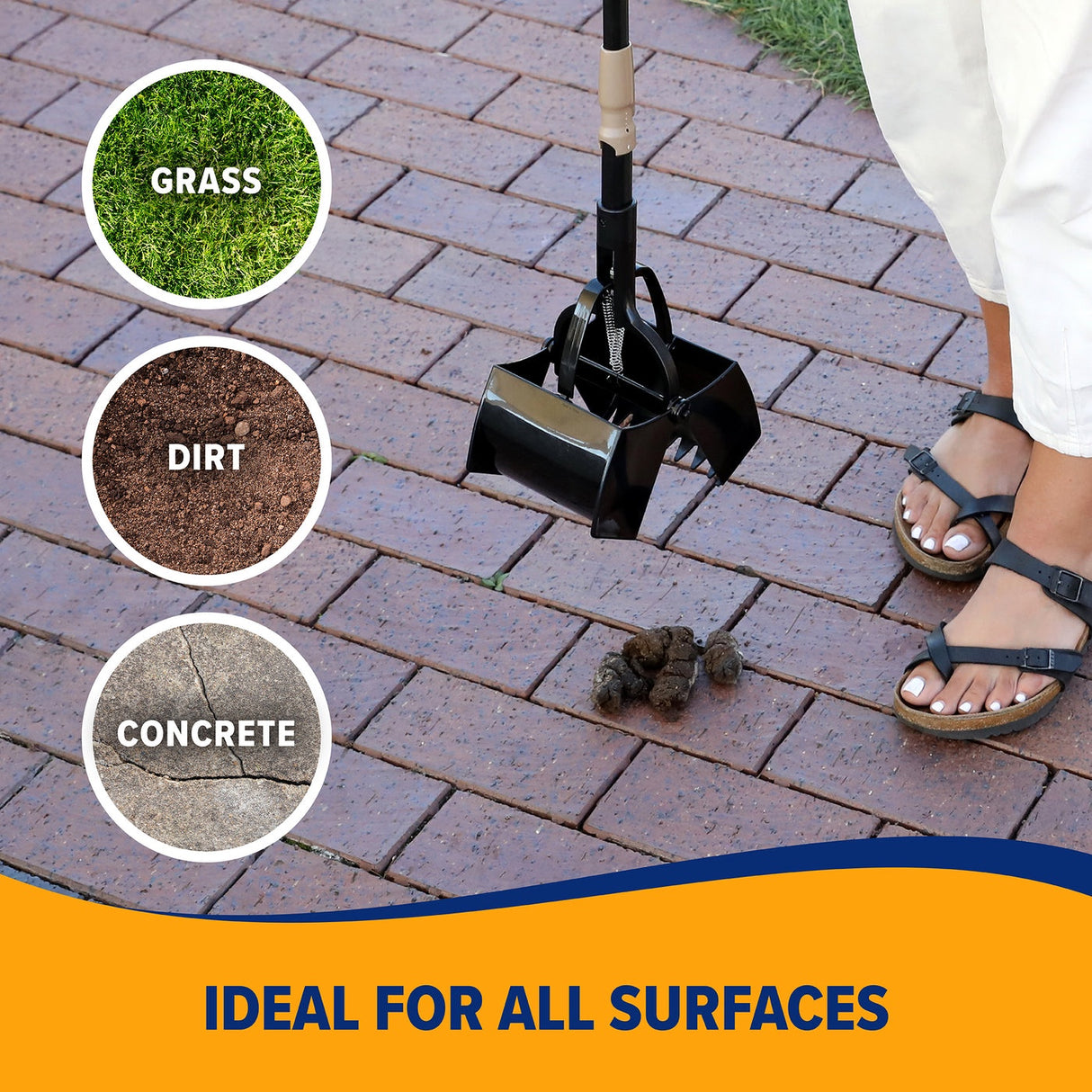 Amro & Hammer Pet Paw Scoop - Extends to 27"