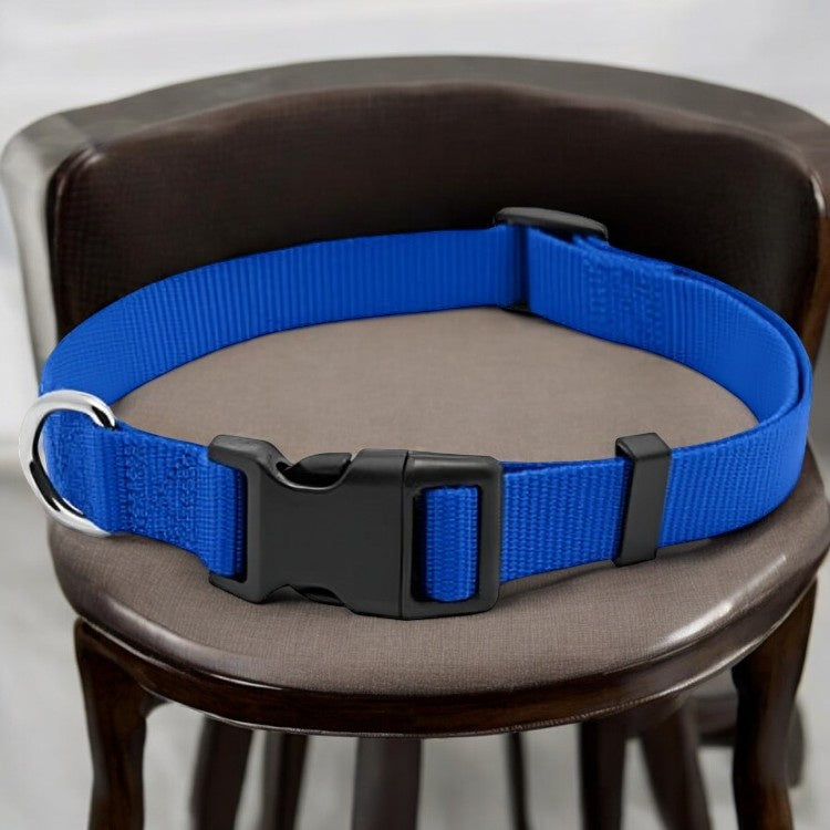 Westminster Pet Expert Nylon Quad Lock Dog Collar, Blue