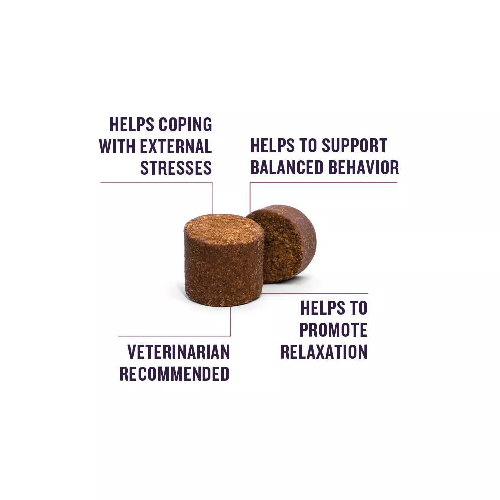 مكمل غذائي قابل للمضغ كلايمنج بنكهة مدخنة للكلاب من من بيت ارمور - 60 قطعة - 140