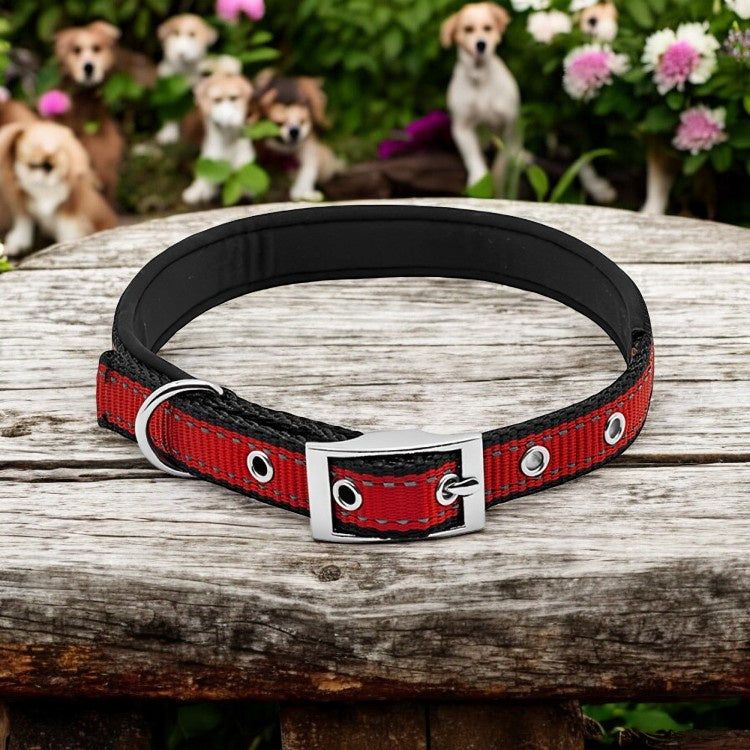 PE 1x26 BLK/RED Collar