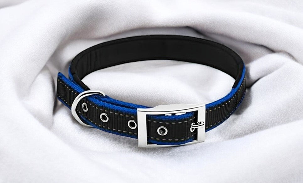 Westminster Pet Expert Dog Collar, Black and Blue