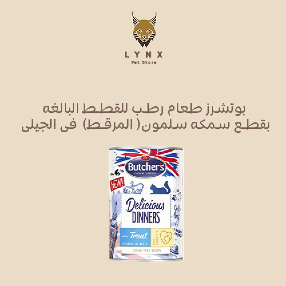 طعام للقطط بوتشرز دليشياز دينر بطعم السمك السالمون - 400 جرام-2