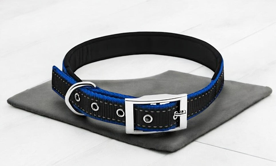 Westminster Pet Expert Dog Collar, Black and Blue