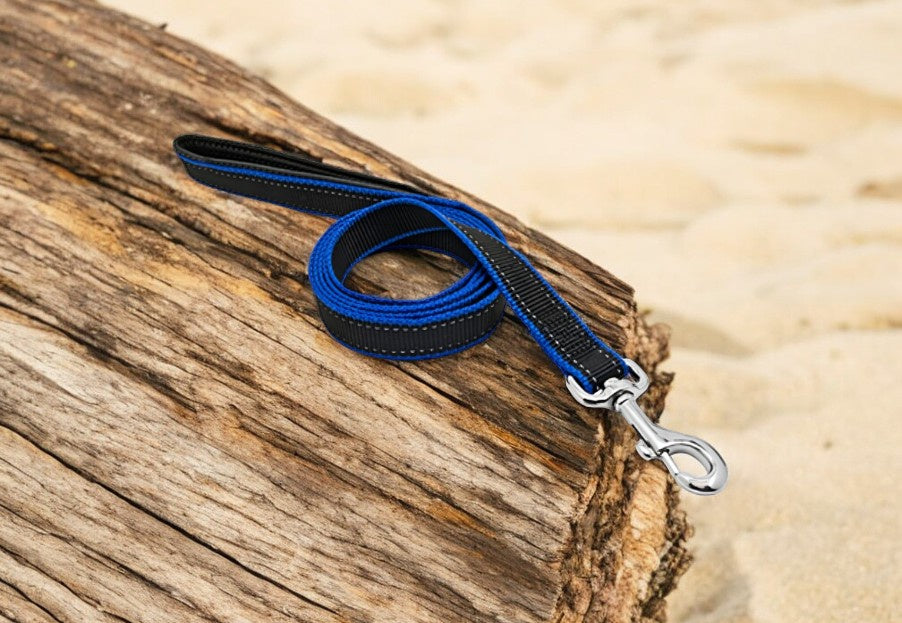 طوق ومقود بيت اكسبرت للكلاب من وستمنستر، 3/4 بوصة x طول 6 قدم - اسود وازرق