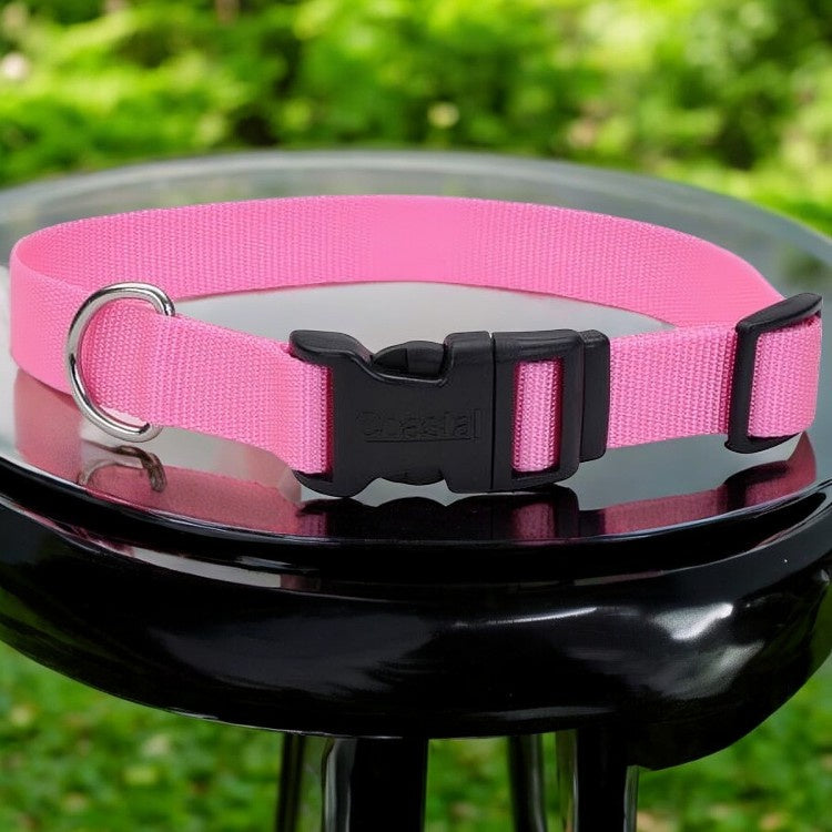 Westminster Pet Expert Nylon Quad Lock Dog Collar, Pink