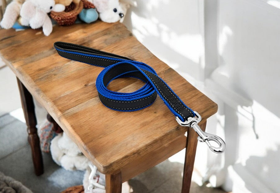 طوق ومقود بيت اكسبرت للكلاب من وستمنستر، 3/4 بوصة x طول 6 قدم - اسود وازرق