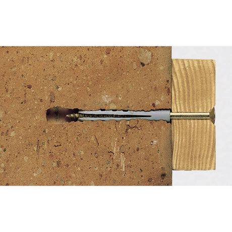 Fischer S 6 PLUG