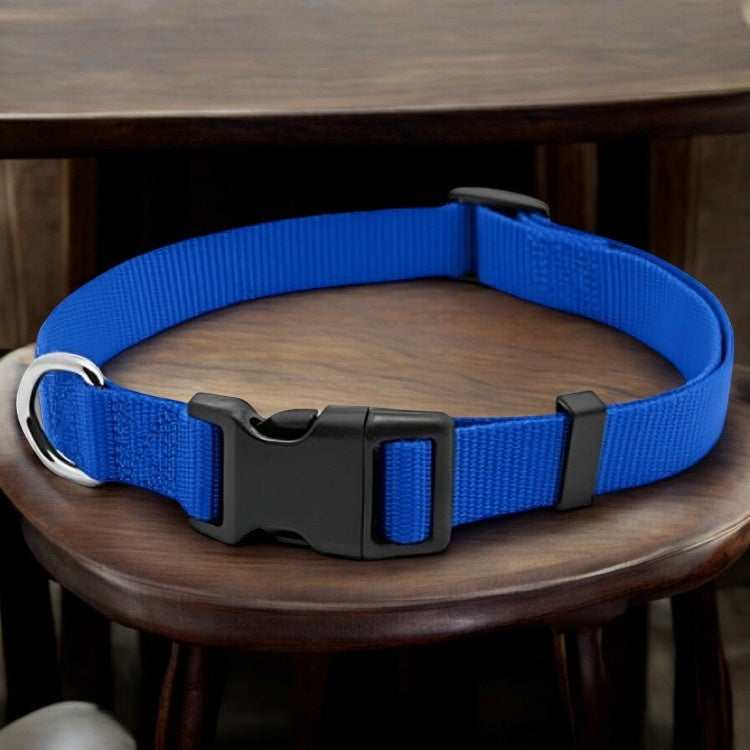 PE3/4x20 BLU Dog Collar