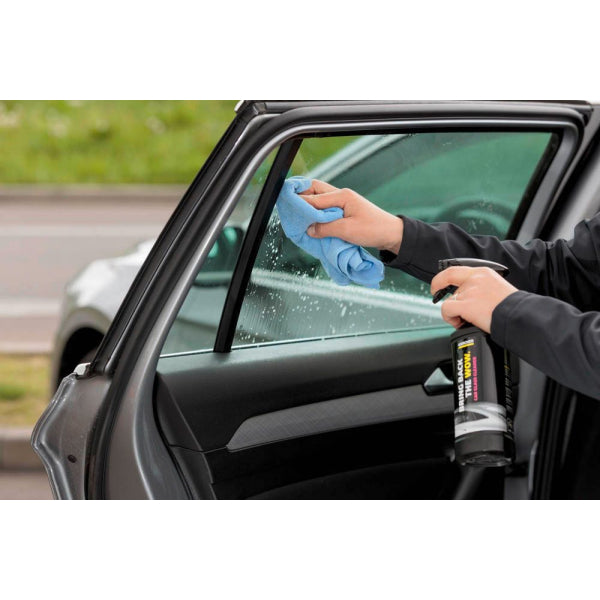 Karcher Car Glass Cleaner, 500 ml - Model RM 650