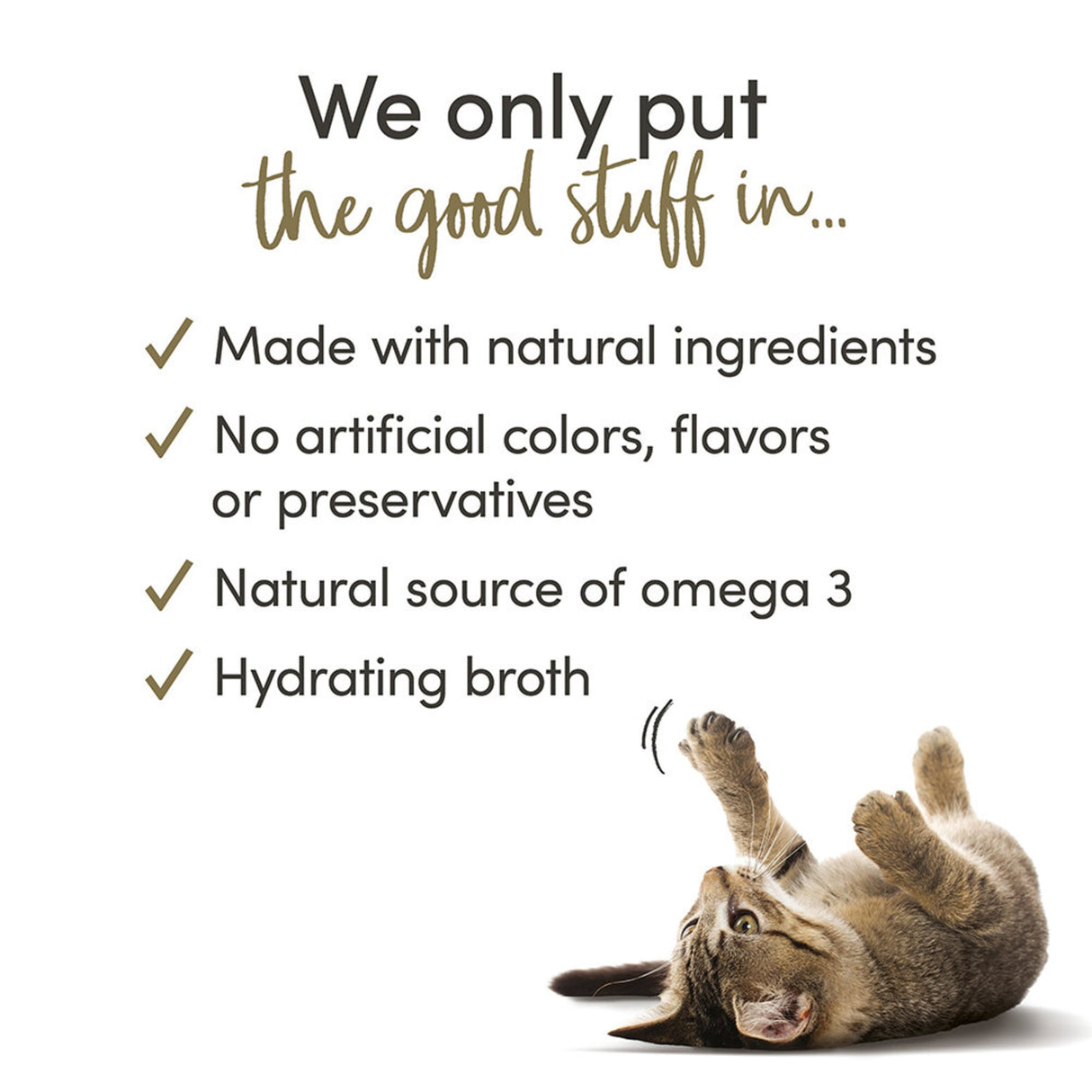 طعام للقطط أبلاوز بطعم التونه - 70 جرام-2