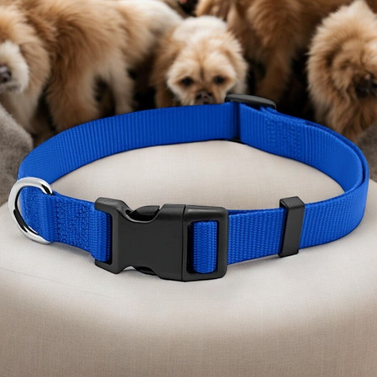 Westminster Pet Expert Nylon Quad Lock Dog Collar, Blue