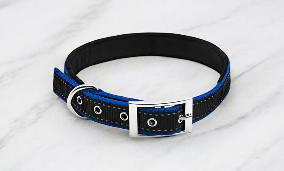 Westminster Pet Expert Dog Collar, Black and Blue