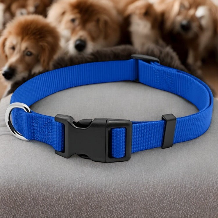 PE3/4x20 BLU Dog Collar
