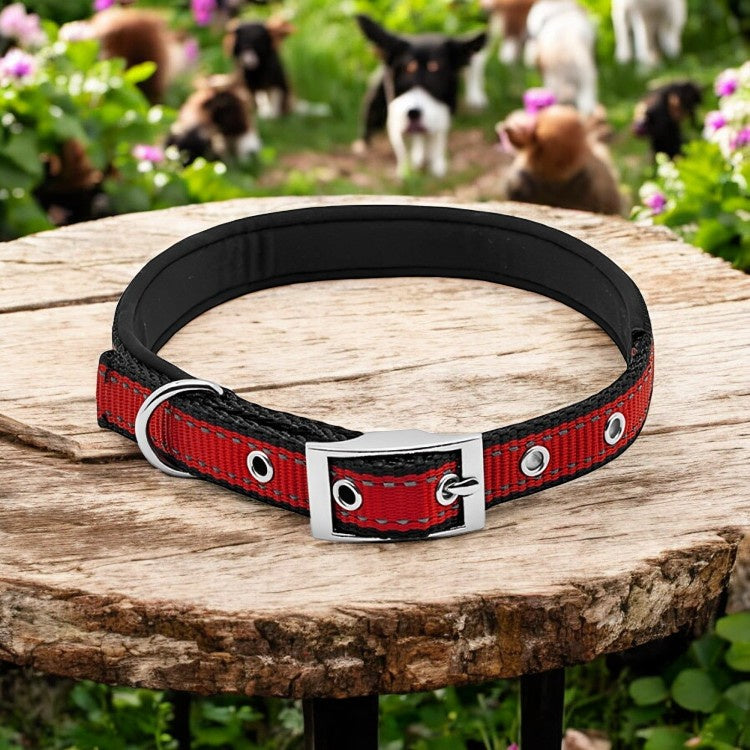 PE 1x26 BLK/RED Collar