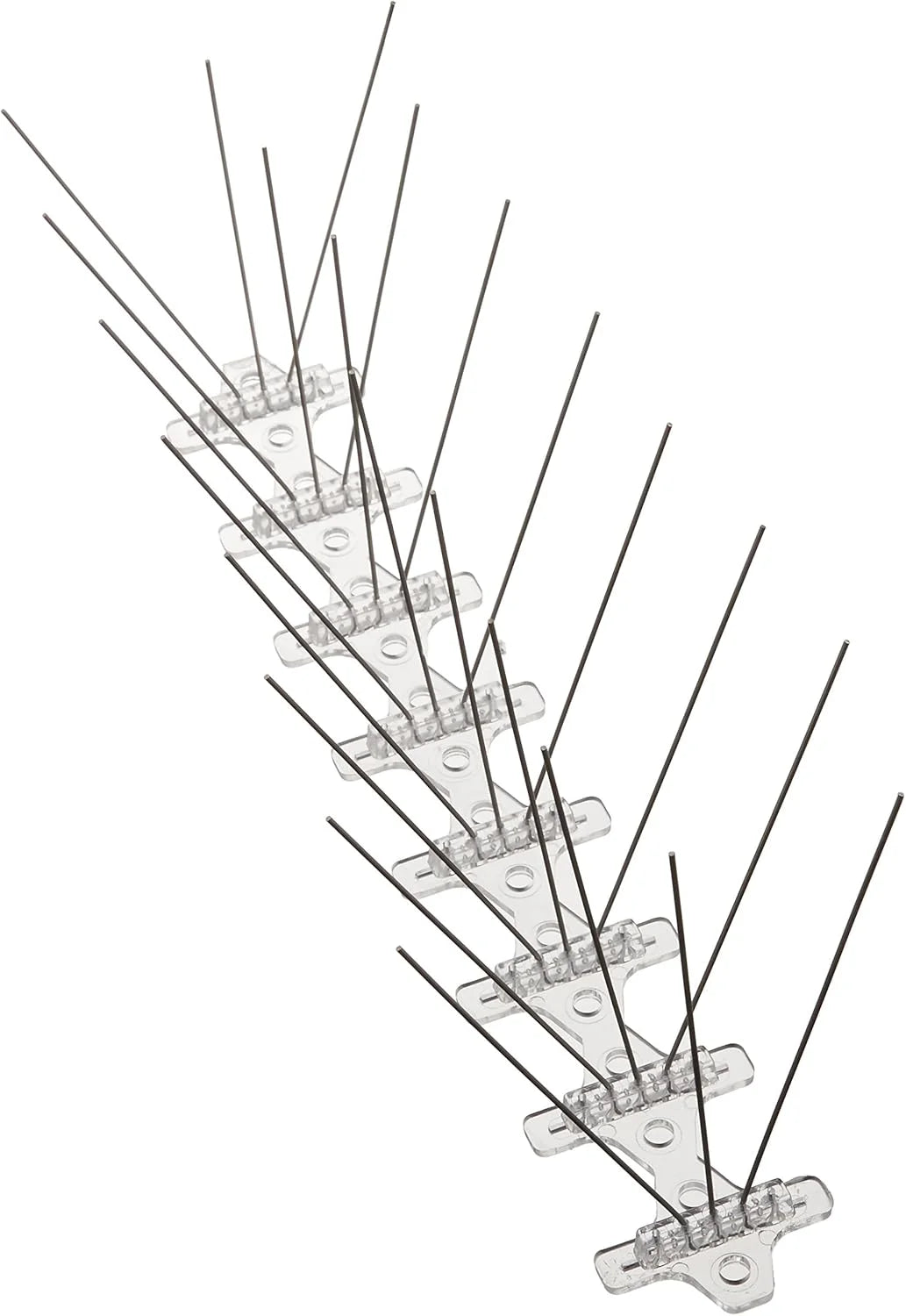 BIRD B GONE Stainless Steel Spike – 5 x 6 in
