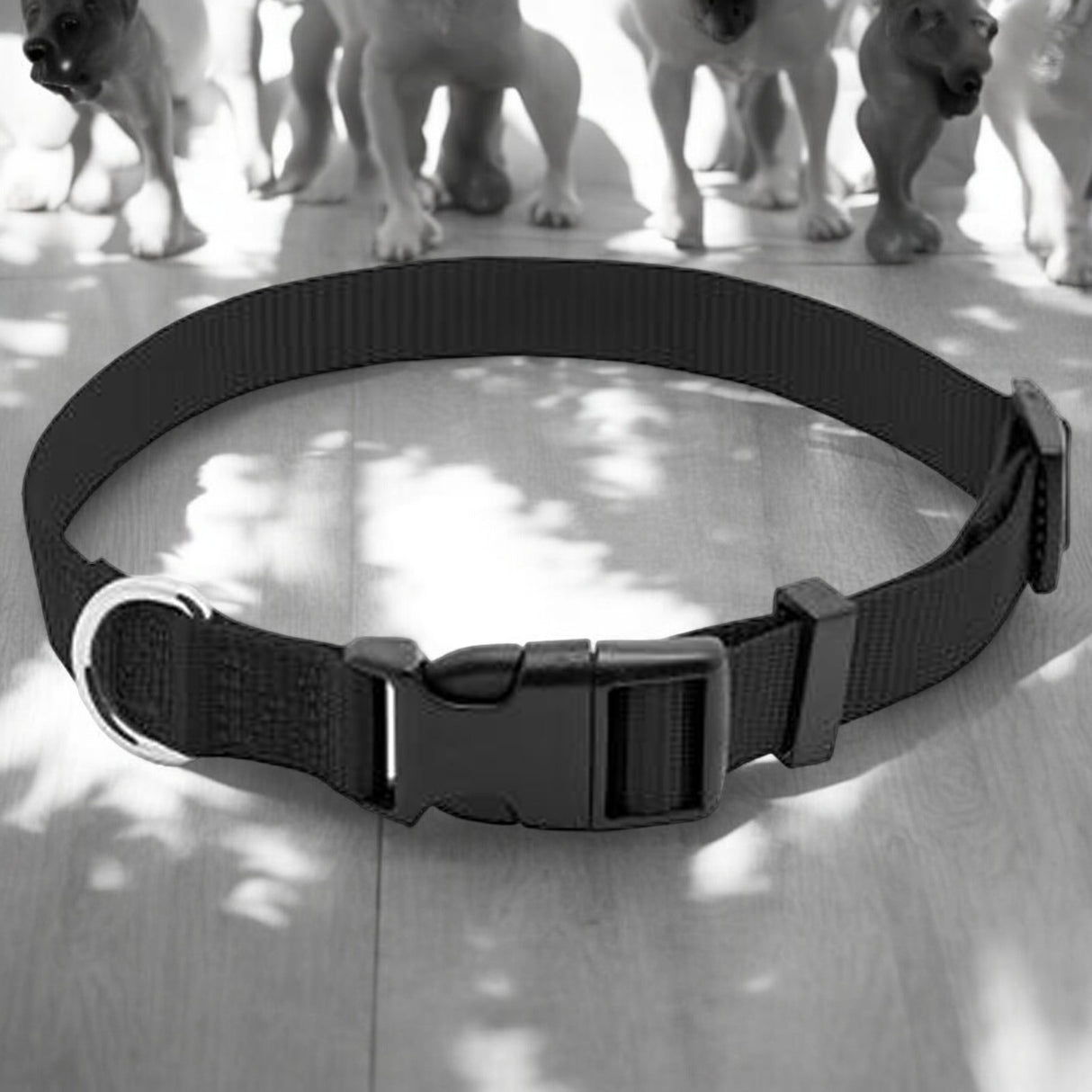 PE 1x26 BLK Dog Collar