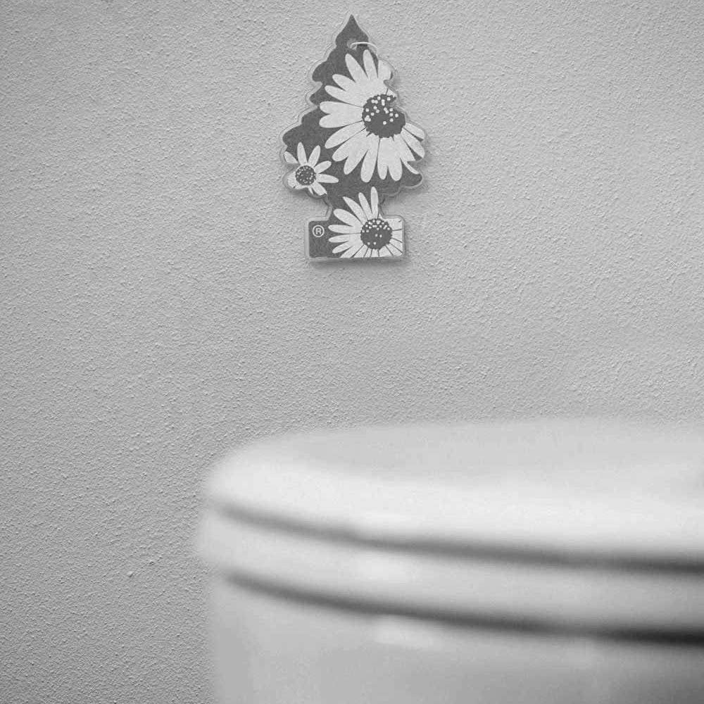 AIR FRESHENER BLACK ICE LITTLE TREE