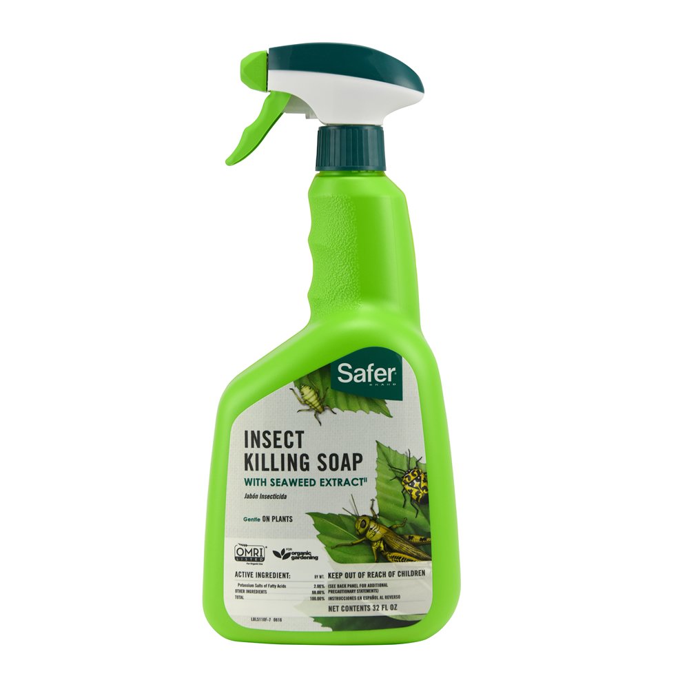 Safer Insect Killer Soap - 32 oz