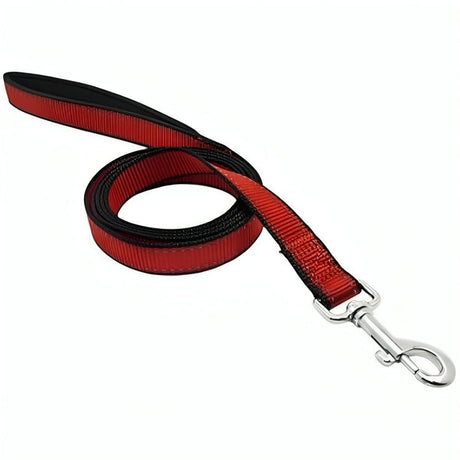 westminster-pet-expert-nylon-leash-for-dogs-1-inch-x-6-ft-black-red