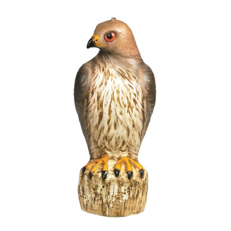 bird-b-gone-plastic-decoy-hawk-for-bird-and-rodent-control