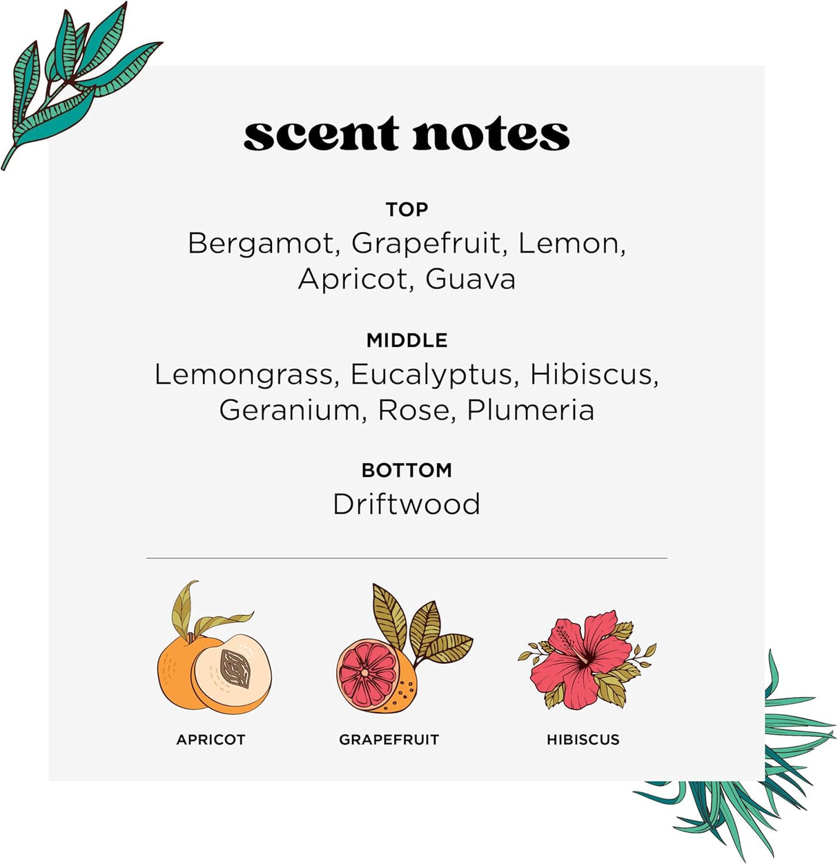 Poo-Pourri Tropical Hibiscus Toilet Spray – 59 ml