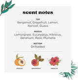 Poo-Pourri Tropical Hibiscus Toilet Spray – 59 ml