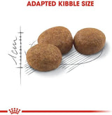 Royal Canin FHN Sterilised - 400g Feline Breed Nutrition Cat Food