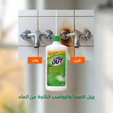 Special Offer Lime Out Lime, Rust & Calcium Stain Remover, 24 oz
