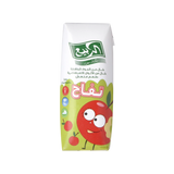 الربيع عصير بطعم التفاح – ١٢٠ مل